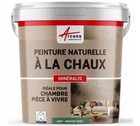 Peinture à la Chaux Intérieure Décorative - MINERALIS 60 m² Menthe Vert | Aspect Mat, sans Solvant Ni Odeur, Perméable, Murs, Ciment, Pierre, Chaux, Application à la Brosse - Arcane Industries