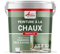 Peinture chaux, naturelle : peinture sans émanation, mineralis - 15 m² (2.5 kg en 1 couche) Muscade Gris Rose - ARCANE INDUSTRIES