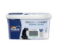 Peinture Color Resist Cuisine & Bains Anthracite 2 L