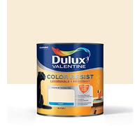 Peinture Color Resist Dulux Valentine - Lessivable et resistante pour Murs & Boiseries - aspect Mat Blanc Platine 1 L - Dulux Valentine