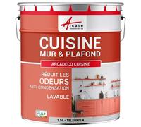 Peinture cuisine lessivable absorbe les odeurs Gris Clair - RAL 7047 2.5 L