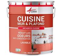 Peinture cuisine lessivable absorbe les odeurs Rouge saumon RAL 302 2.5 L