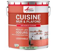 ARCANE INDUSTRIES Peinture Cuisine, lessivable, absorbe Les odeurs - 2.5 L Vert Blanc - RAL 6019