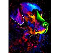 Peinture de bricolage par numéros pour adultes débutant - Portrait de Labrador chien de compagnie coloré - peinture à l'huile de 16 x 20 pouces avec des pinceaux et jouet de pigment Wall Art Decor
