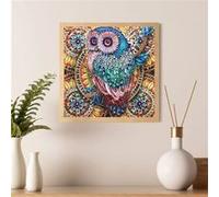 Peinture de Diamant FONGWAN 5D broderie DIY kit complet pour Adultes- Hibou 30 X 30cm multicolore G