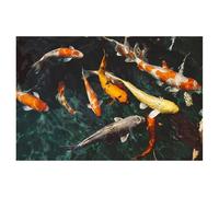 Peinture De Diamant Rond Koi, 30x40cm, Bricolage, Broderie, Point De Croix, Décoration De La Maison