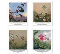 Peinture de Modèle d'art Décoratif en 4 Pièces , Décoration Murale d'image de Motif de Oiseau Classique Sans Cadre,Taille du papier d'art: 28x35 cm, Illustrations Pour Chambre Johnson Heade Painting