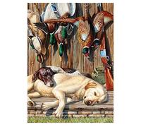 Peinture Diamant 5d Complet, Fusil De Chasse Au Faisan Hound 30x45cm DIY 5D Diamant Peinture Point De Croix Broderie Diamond Painting Kits Mosaïque Toile Artisanat Home Décoration Autocollant Mural