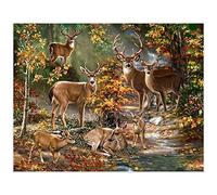Peinture Diamant 5D Forage Complet Cerf animal de la forêt DIY Diamant Peinture Kit pour Adultes,Diamond Painting pour Enfants,Broderie Tableau point de croix Kit,Strass Image Décor Cadeau 40x50cm