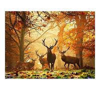 Peinture Diamant 5D Forage Complet Cerf de forêt DIY Diamant Peinture Kit pour Adultes,Diamond Painting pour Enfants,Broderie Tableau point de croix Kit,Strass Image Décor Cadeau 60x90cm