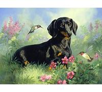 Peinture diamant 5D pour enfants, kit de peinture diamant teckel et colibri, peinture par numéros pour adultes, décoration murale, 30 x 40 cm