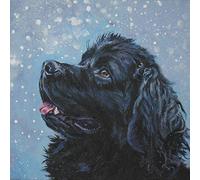 Peinture diamant 5D pour enfants, Terre-Neuve dans la neige, chien noir, peinture par numéros, peinture diamant pour adultes, décoration murale, 40 x 50 cm