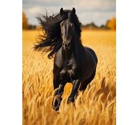 Peinture Diamant Adulte, Cheval Noir Diamond Painting Grand Format 70x100cm, DIY 5D Diamant Painting Champ de Blé Broderie Diamant Kit Complet, Painting Diamant Kits pour Murale Décoration -YZ1262
