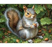 Peinture Diamant Animal, 5D Écureuil Diamond Painting 30x20 cm T0-302