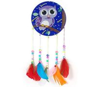 Peinture Diamant Attrape-Rêves, Kit De Carillons Éoliens Pour Porte, Décoration Murale De Maison, Kit De Broderie Diamant, Branches D'oiseaux