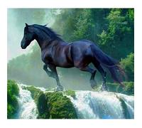 Peinture Diamant - AUTREMENT - Cascade - 5D - Animaux - Décoration Murale Intérieure