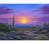 Peinture Diamant Coucher De Soleil Diamond Painting Adulte, 5D Cactus Diamant Peinture Kit Complet, DIY Activité Manuelle Adulte Strass Cristal Point de Croix Broderie Painting Murale 40x50cm h-864