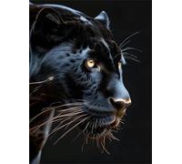 Peinture Diamant Enfant La Panthère noire Peinture Diamant Adulte, DIY 5D Diamond Painting Complet, Diamant Strass Point De Croix Cristal Painting, Diamant Kit Enfants, Murale DéCoration 30x40cm Y-193