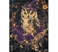 Peinture Diamant Hibou Diamond Painting Adulte Rétro 5D Diamant Painting Kit Creatif Adulte, DIY Diamond-painting Numero D'art Strass Kit Broderie pour Decoration Maison Murale Cadeau 45x60cm,Model558