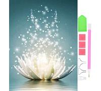 Peinture Diamant Lotus, BetterJonny DIY 5D Diamond Painting Kit Complet Diamant Painting Fleur Broderie Diamant Kit Diamond Painting Broderie Kit pour la Deco Chambre Home Décoration Murale, 40X30cm