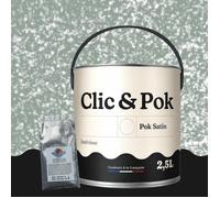 Peinture Effet Pailleté pour Murs & Plafonds - POK PAILLETTE - 2 5L - Vert Grisé
