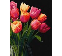 Peinture en chiffres - Senteur des tulipes 30x40cm