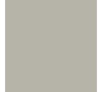 Peinture façade acrylique 14 couleurs - durable jusqu'à 15 ans - rénovation façade, mur crépi - Arcafacade Renov Gris (Ral 7044) 10L (+ ou - 60m² en 1 couche)