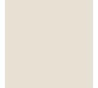 Peinture façade acrylique 14 couleurs - durable jusqu'à 15 ans - rénovation façade, mur crépi - Arcafacade Renov Blanc Cassé (Ral 9001) 2.5L (+ ou - 15m² en 1 couche)
