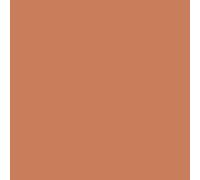Peinture façade acrylique 14 couleurs - durable jusqu'à 15 ans - rénovation façade, mur crépi - Arcafacade Renov Ocre (Ral 050 60 40) 10L (+ ou - 60m² en 1 couche)