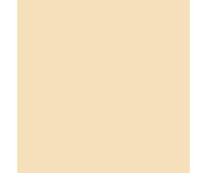 Peinture façade acrylique 14 couleurs - durable jusqu'à 15 ans - rénovation façade, mur crépi - Arcafacade Renov Ton Sable (Ral 085 90 20) 10L (+ ou - 60m² en 1 couche)
