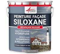Peinture Façade Siloxane Hydrofuge 10 L Gris platine - RAL 7036