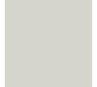 Peinture Facade Siloxane Hydrofuge - Durable jusqu a 15 ans - Rénovation Façade, mur crépi - ARCAFACADE SILOXANE Gris Clair (Ral 9002) 10L (+ ou - 60m² en 1 couche)