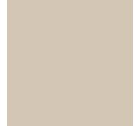 Peinture Facade Siloxane Hydrofuge - Durable jusqu a 15 ans - Rénovation Façade, mur crépi - ARCAFACADE SILOXANE Beige (Ral 080 80 10) 10L (+ ou - 60m² en 1 couche)