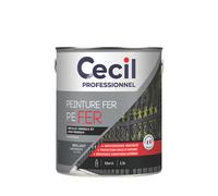 Peinture fer brillante Cecil Professionnel anthracite 2,5L