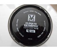 peinture fer climats extrêmes 0,50L noir brillant