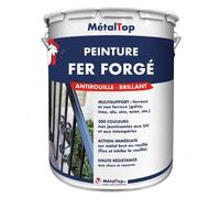 Peinture Fer Forge - Pot 1 L - Metaltop - 5003 - Bleu saphir
