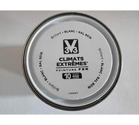 peinture fer V33 climats extrêmes 0,50L blanc brillant RAL9016