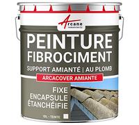 Peinture fibro ciment pour encapsulage, support amiante et plomb : Arcacover amiante - 10 L Blanc - ARCANE INDUSTRIES