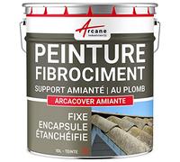 Peinture Fibrociment Encapsulage Amiante Plomb 10 L Tuile