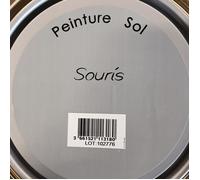 Peinture - GRIS SOURIS - Glycérophtalique - 0,5L - Intérieur/Extérieur - Sols