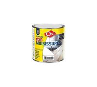 Peinture anti-moisissure - blanc - 0.5 L