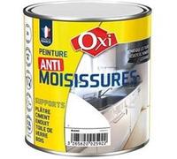 Peinture anti-moisissure - blanc - 0.5 L