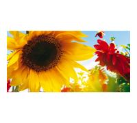 Peinture JAUNE ET ROUGE G1118 PINTDECOR