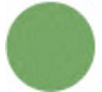 Peinture lexan Absima 3500006 vert 150 ml