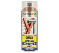 Peinture marron brillant RAL8007 400ml