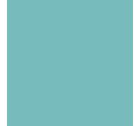 Peinture mat mur et plafond biosourcée - Peinture chambre, salon, pièces à vivre Vert clair - RAL 6027 2.5 L (+ ou - 30m² par couche)