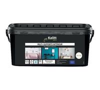 Peinture multi-supports 2,5 L Acrylique Mat - Gris plume