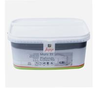 Peinture mur et plafond acrylique mat gris acier 2,5L Jafep