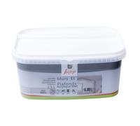 Peinture mur et plafond acrylique mat gris béton 2,5L Jafep