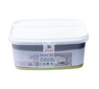 Peinture mur et plafond acrylique mat gris béton 2 5L Jafep